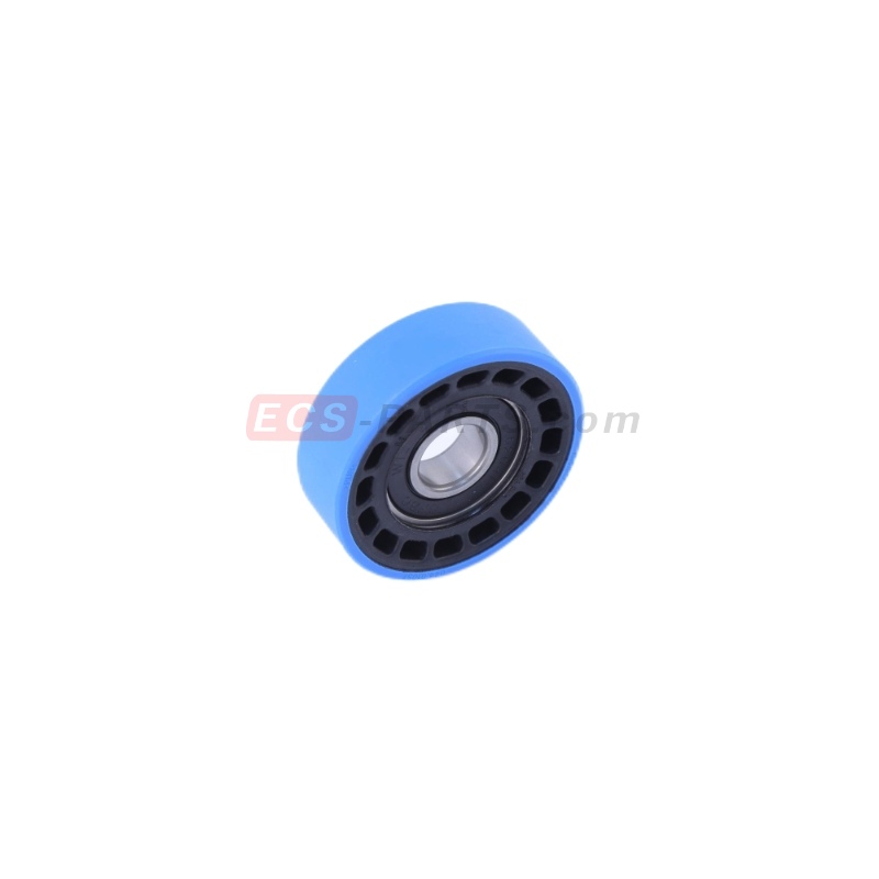 Escalator Blue Roller 044.01057 D75*24mm-6204 Without LOGO 
